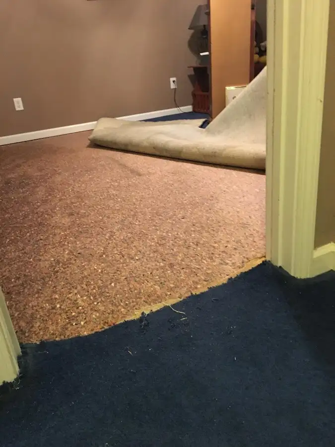 Carpet pad removal revealing water damage during Water Mitigation Services in Tolland